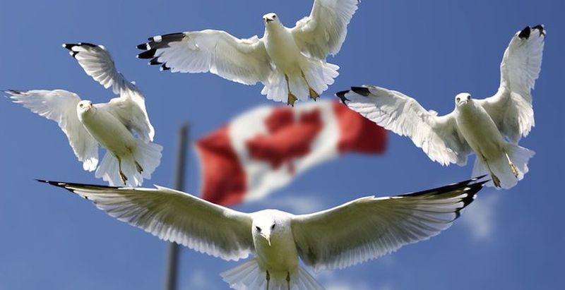 Канада намерена адаптировать законодательство под криптовалюты