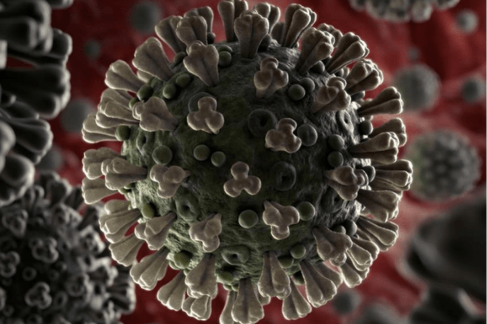 Криптомошенники активизировались на фоне эпидемии коронавируса