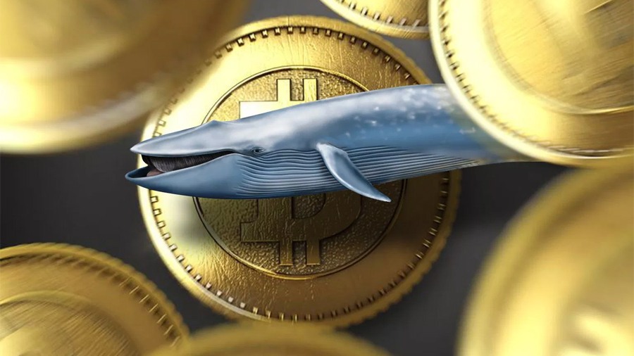 Bitcoin-киты растут – Glassnode