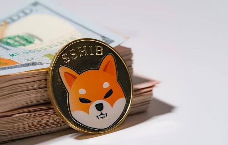 Dogecoin – это «народная криптовалюта», а монет SHIB у меня нет – Илон Маск