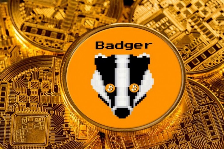 DeFi-проект BadgerDAO раскрыл детали взлома 